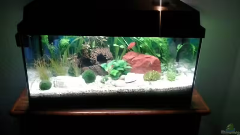 Neue Frontansicht 19.09.2013 von Jody Wynn (4)