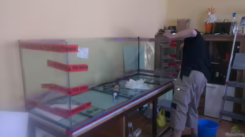 neue Frontscheibe fertig verklebt von Biffty (16)