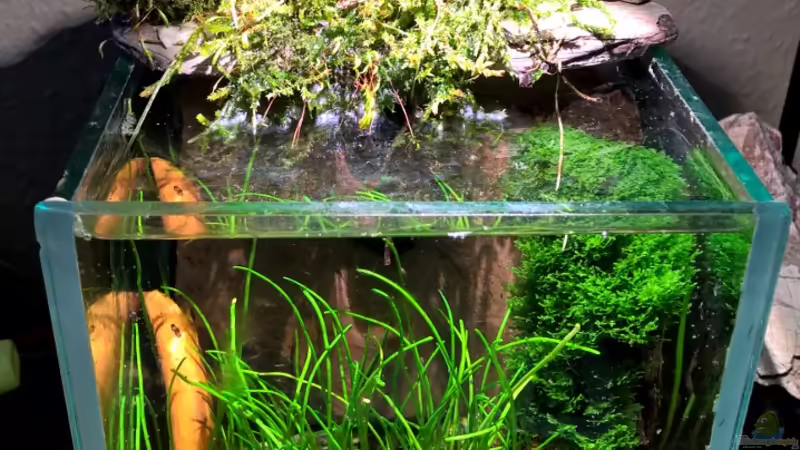 neue Gesamtansicht von Martin L. (8)