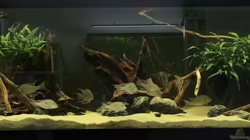 Neue Gesamtansicht von Oliver Bartels (21)