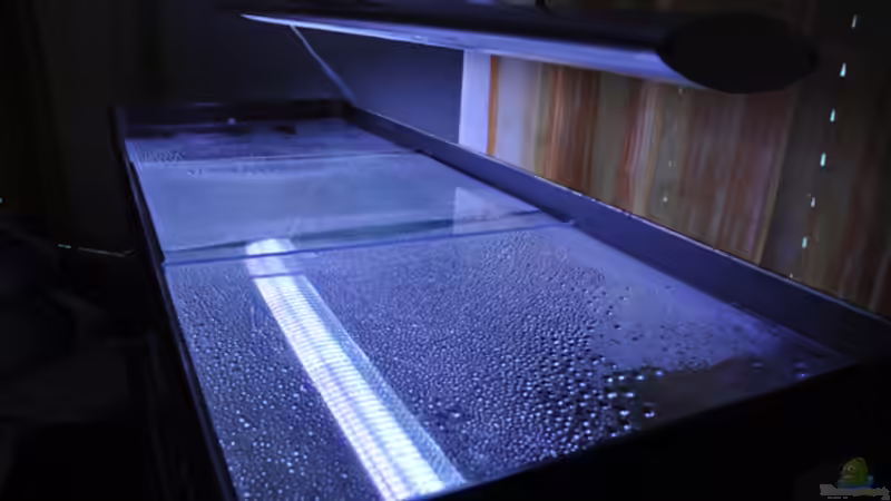 Neue Glasplatten gekauft und zugeschnitten, dazu im E Profil damit sie ´schiebbar´ von SirHawkman (24)