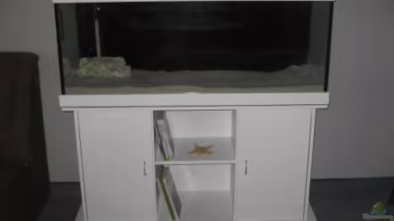 neue Griffe drann von Mathias Schlett (7)