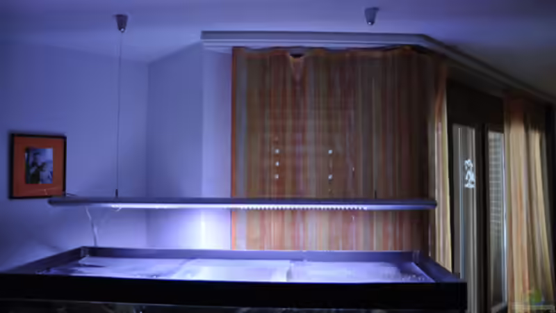 Neue Hängelampe gekauft und installiert (2x T5) von SirHawkman (26)