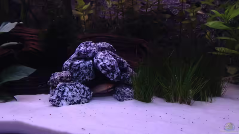 Neue Höhle aus Granit von Flo Weber (12)