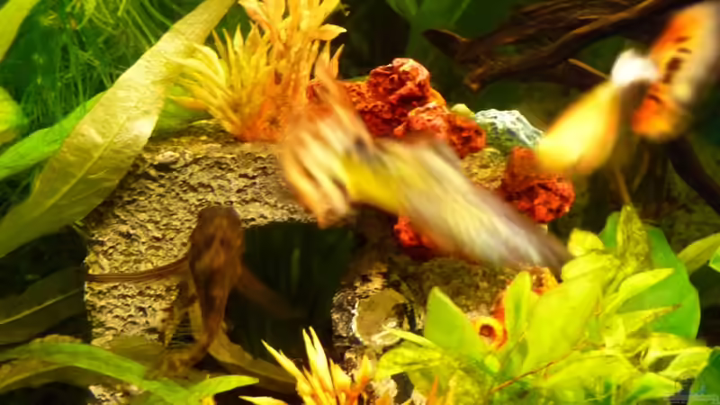 neue Höhle Februar 2012 von Noreia (19)