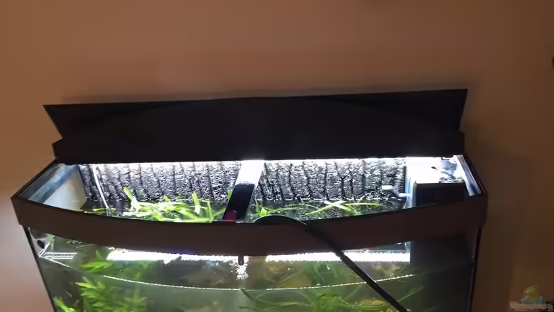 Neue LED Lampen von christian (7)