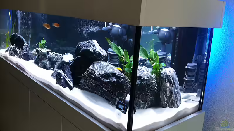 Neue LED Rückbeleuchtung (blau) von axxo (8)