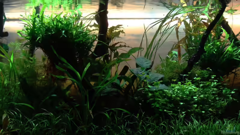 Neue LED Rückwand von Lukas &gt;&lt;°&gt; (7)