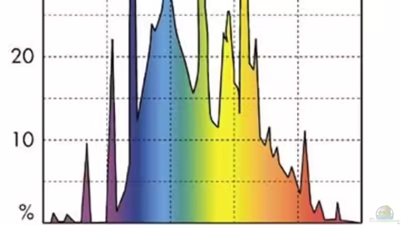 Neue Leuchte von Duder Malawikus (20)