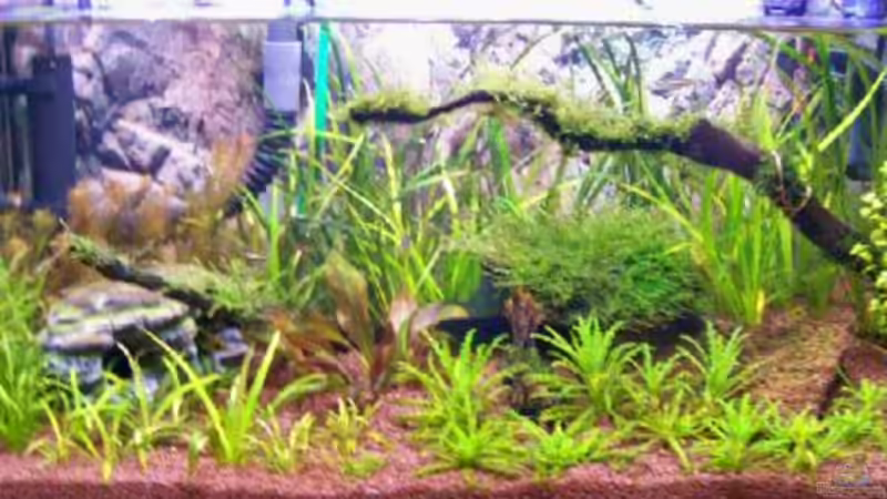 Neue Lichtverhältnisse ( Röhren ) 01.01.08 von Thomas Schmidt (4)