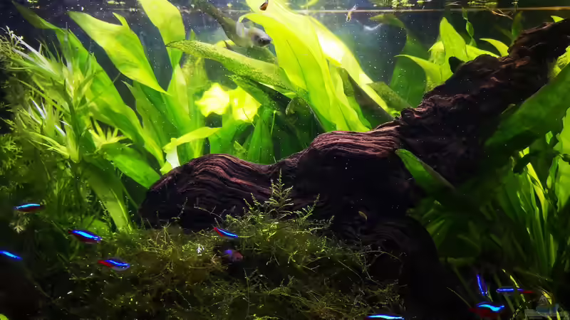 neue linke Seite von Sven2501 (4)