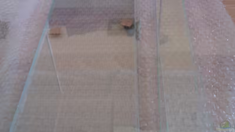 neue Querstreben (2x Mitte, 2x Aussen) von Biffty (34)