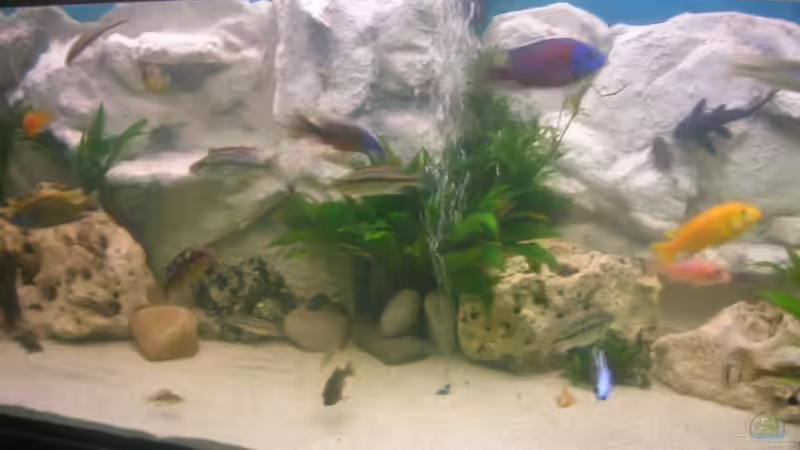 Neue Rückwand, aber noch alter Besatz. von Sonnenelise2003 (5)