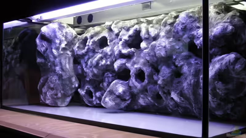 Neue Rückwand ins neue Becken angepasst von Malawifreak (18)