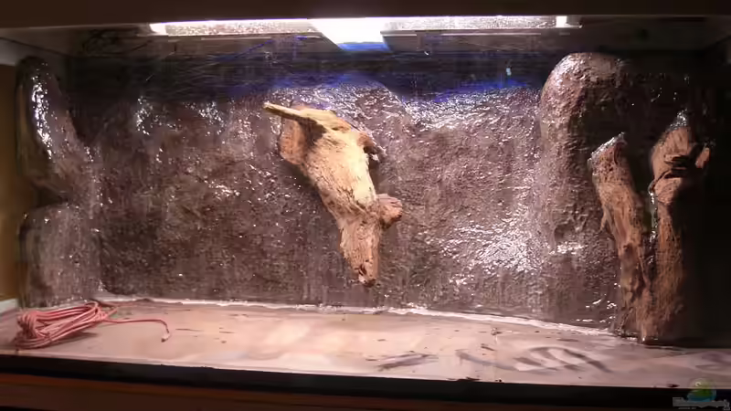 Neue Rückwand mit 1. Schicht Epoxidharz von Matoba (14)