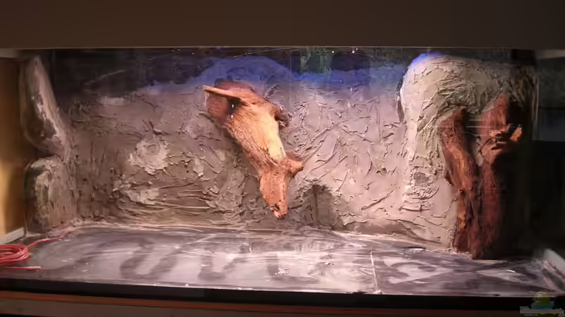 Neue Rückwand mit 1. Schicht Fliesenkleber und integrierten Mangrovenholzwurzeln von Matoba (12)