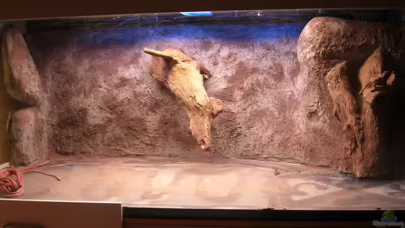 Neue Rückwand mit 2. Schicht Fliesenkleber von Matoba (13)