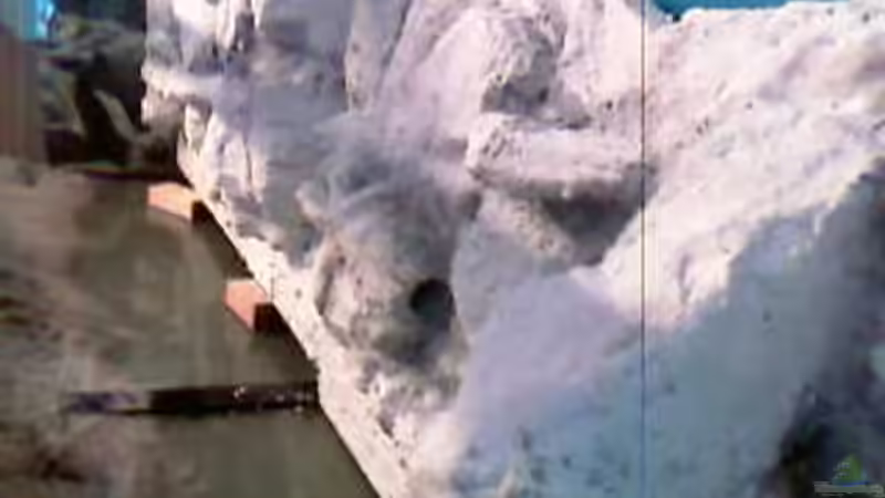 Neue Rückwand von Sonnenelise2003 (2)