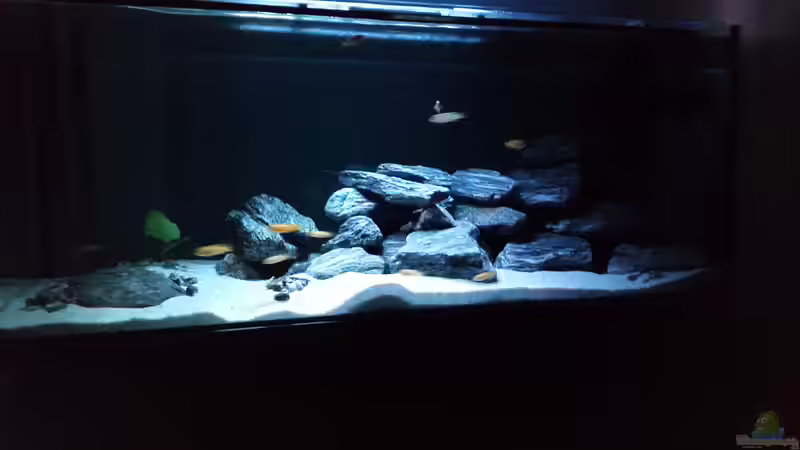 Neue Schattierungen von Burak K. (4)