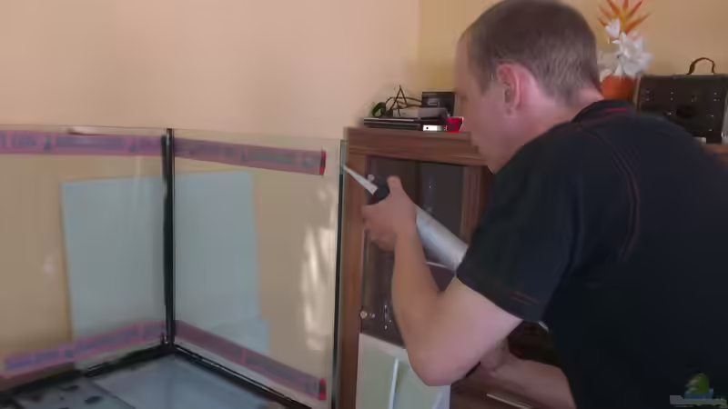 Neue Scheibe mittels transparenter Aquariensilikon verklebt von Biffty (15)