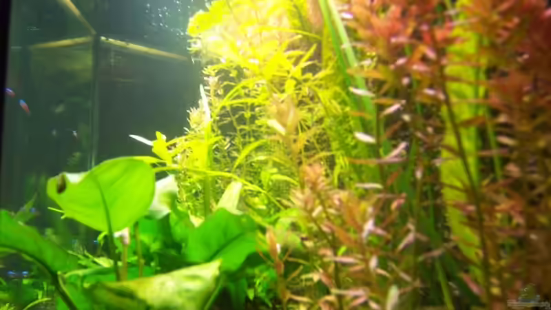 Neue Seitenansicht rechts von Jana_ (10)