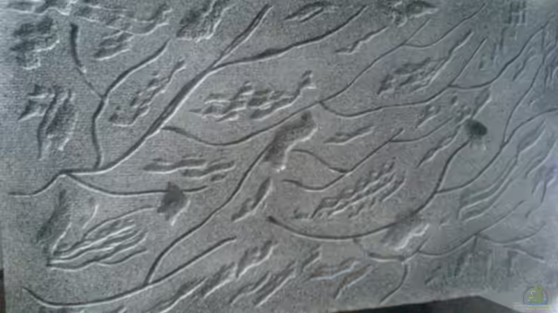 Neue Selbstgebaute Rückwand von t-time (9)