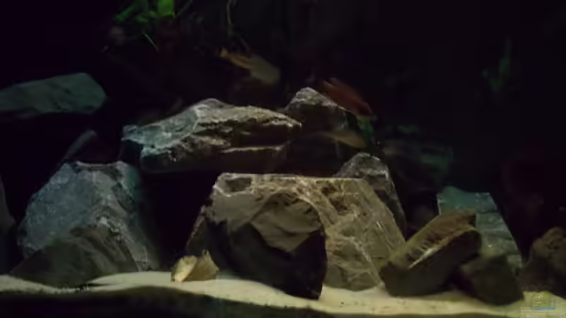 Neue Steinaufbauten 20.10.2012 von Pierre (9)