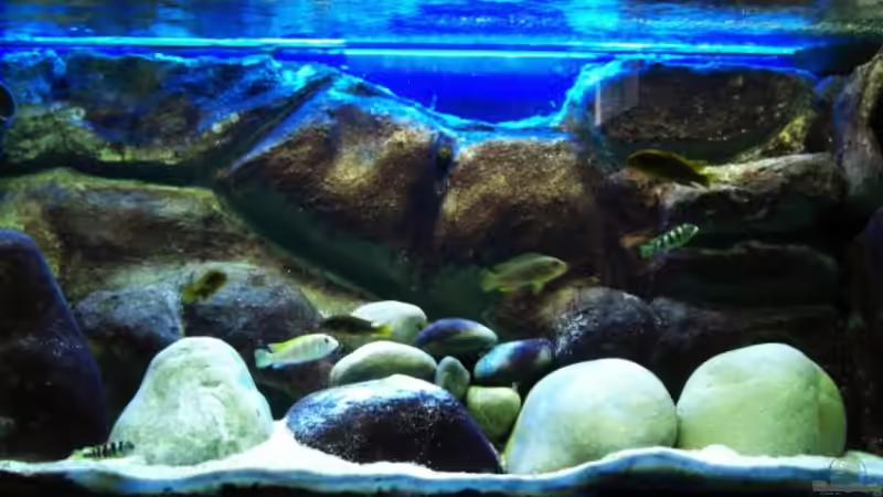 neue Steine wurden eingebracht von jankov (10)