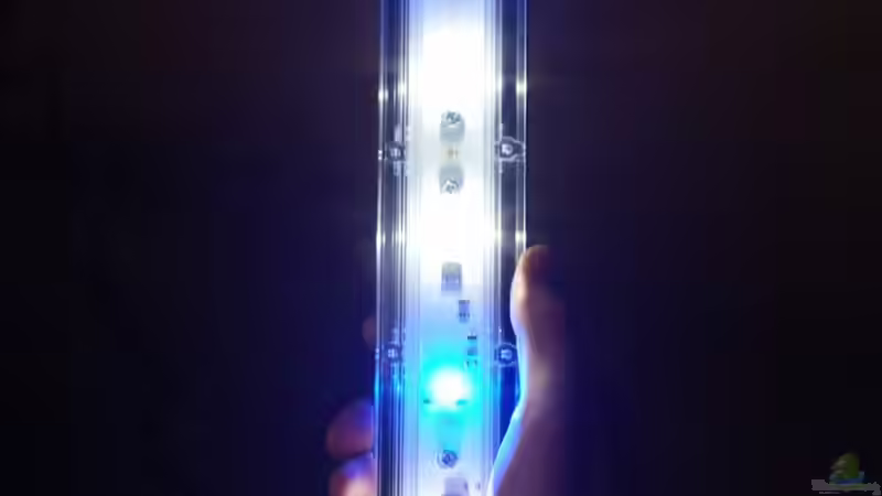 Neue SunaEco Reef White von Gunnar2060 (52)