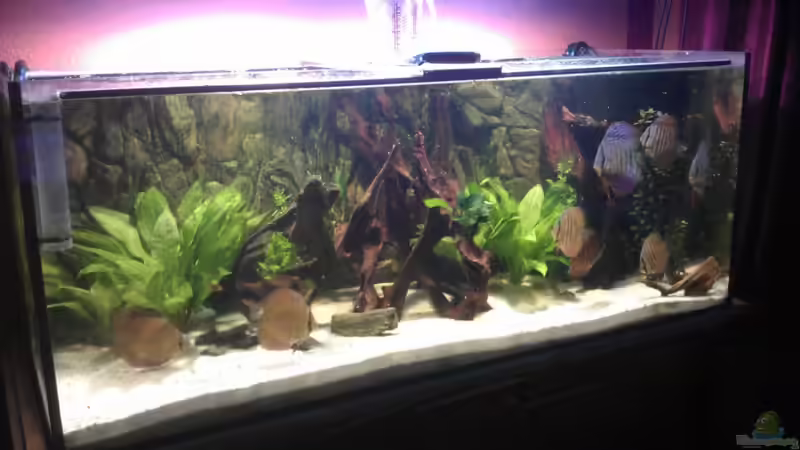 Neue Unterstände und Höhlen gebastelt von Solitary (10)