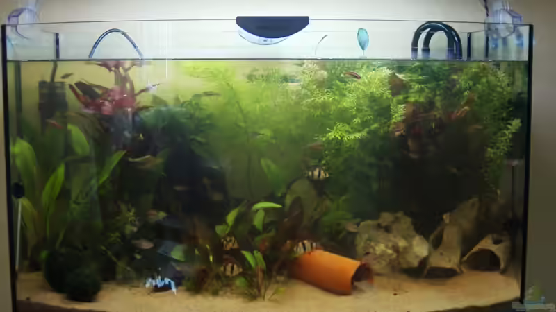 neue Welsspielplätze von Oliver Strohschein (3)