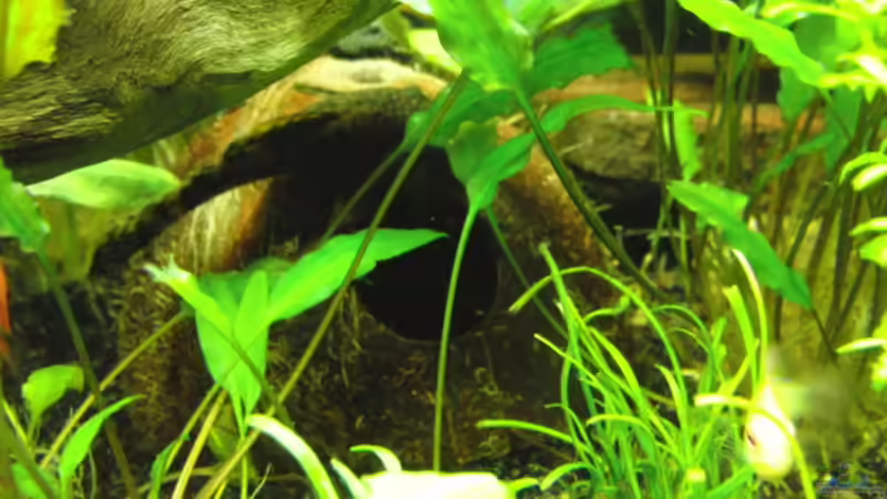 Neue Wohnung von Microsash (7)