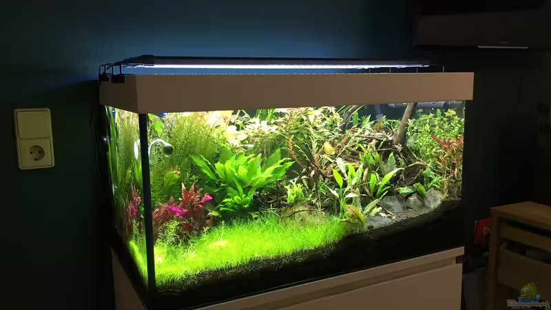 Neue Zierleiste von Jule (6)