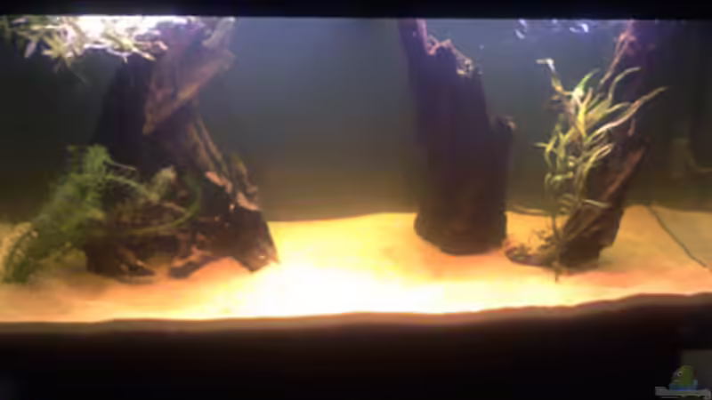 Neueinrichtung  von Andi Hofstetter (3)