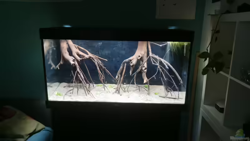 Neueinrichtung  von Stevo069 (2)