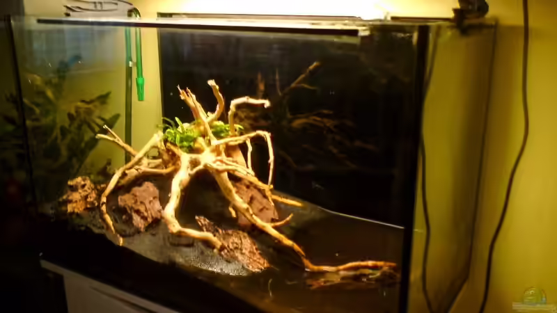 Neueinrichtung 01.02.2010 von Gunnar Otte (3)