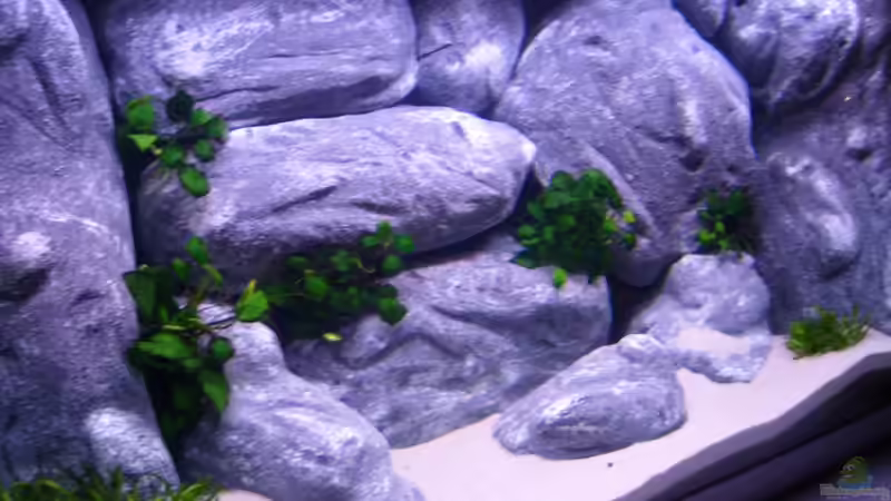 Neueinrichtung 08.05.2008 von Michael J. (1)