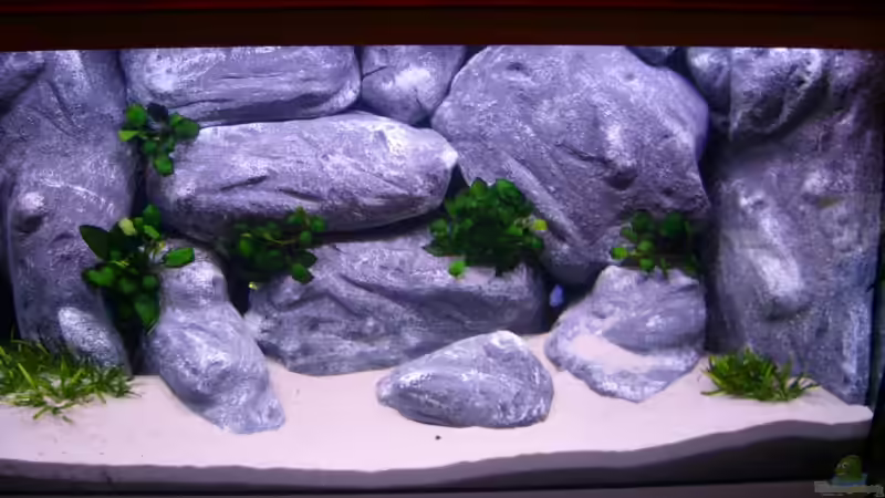 Neueinrichtung 08.05.2008 von Michael J. (2)