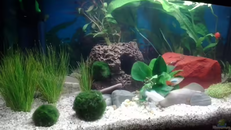 Neueinrichtung 09/2013 von Jody Wynn (2)