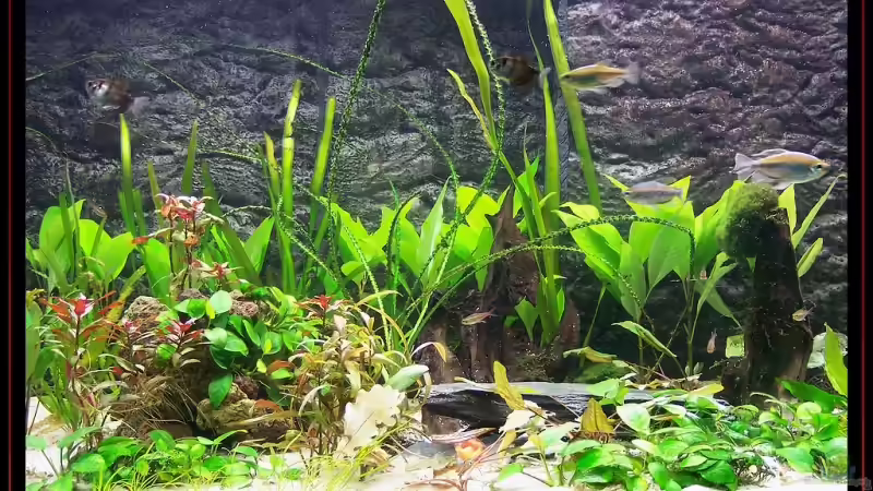 Neueinrichtung 21.09.06 von Michael Hofmann (3)