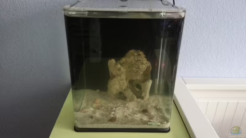 Neueinrichtung am 03.05.2015 von BenoN (2)