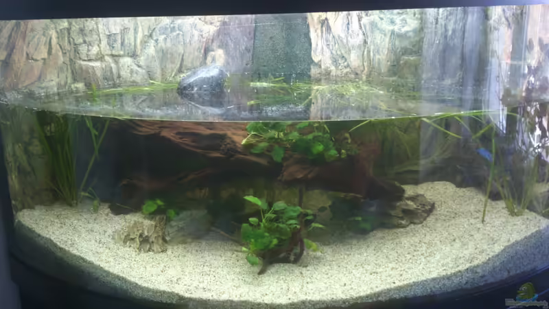 Neueinrichtung am 25.10.2012 von Piet82 (2)