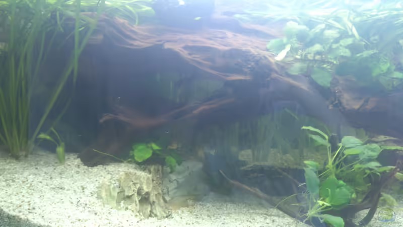 Neueinrichtung am 25.10.2012 von Piet82 (4)