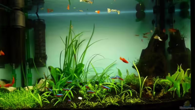 Neueinrichtung am 28.11.2009 von BenoN (3)