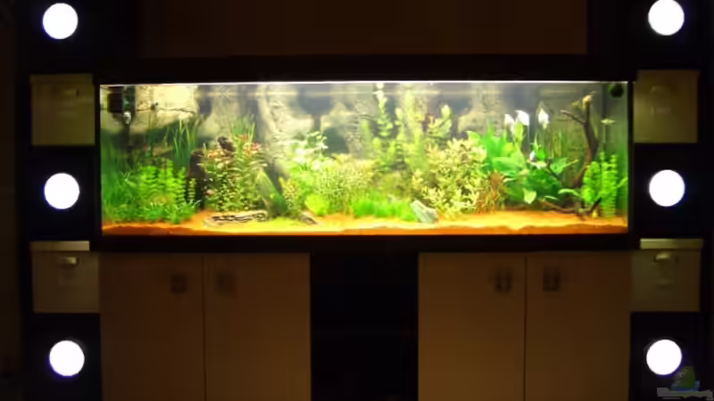 Neueinrichtung Juli 2009 - In den beiden Türmen ist die Technik untergebracht von Zork-Nemesis (9)