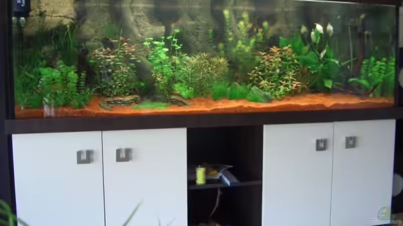 Neueinrichtung Juli 2009 von Zork-Nemesis (8)