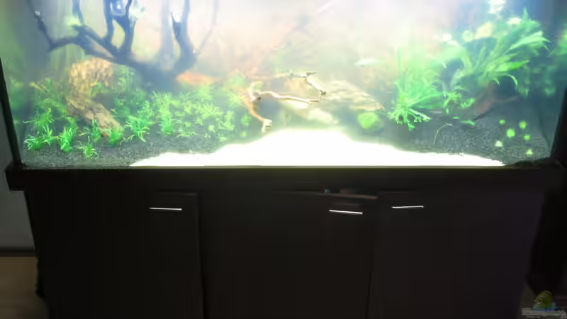 Neueinrichtung Juli 2017 von Uwe Trauernicht (1)