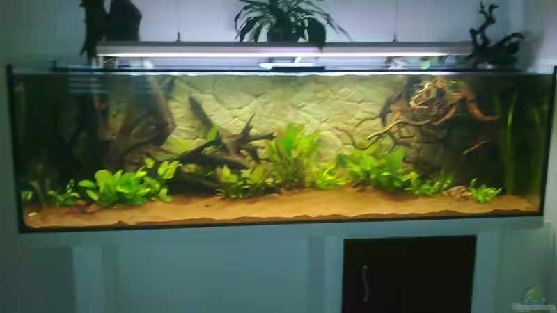 Neueinrichtung nach 4 Tagen von Blue2 (5)