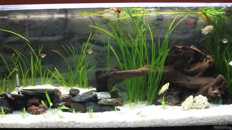 Neueinrichtung nachdem der Sand rausgeflogen ist ...