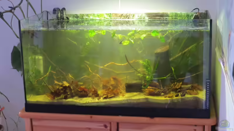 Neueinrichtung (noch trüb von Joni_99 (3)